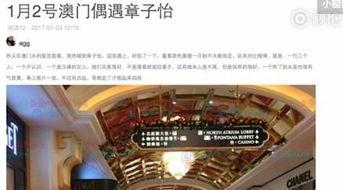 澳门最新爆料电话,揭秘幕后真相  第3张