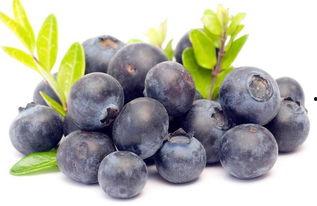 娱乐吃瓜酱蓝莓,吃瓜酱带你领略明星幕后故事  第3张