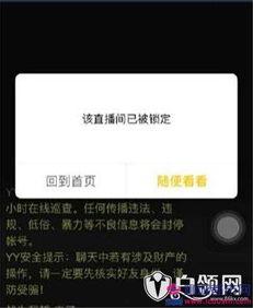 爆哥爆料视频下载网站,一键获取热门视频的秘密通道  第2张